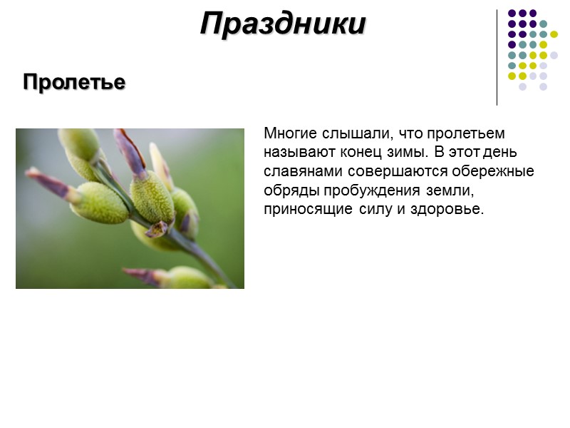 Праздники Пролетье Многие слышали, что пролетьем называют конец зимы. В этот день славянами совершаются Праздники Пролетье Многие слышали, что пролетьем называют конец зимы. В этот день славянами совершаются